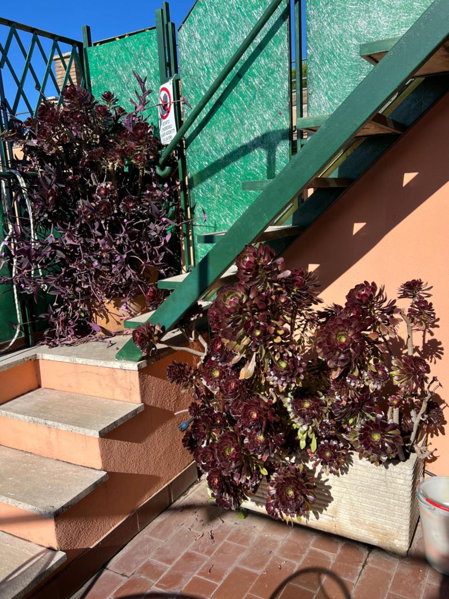 Spanish Steps Rome View 外观 照片