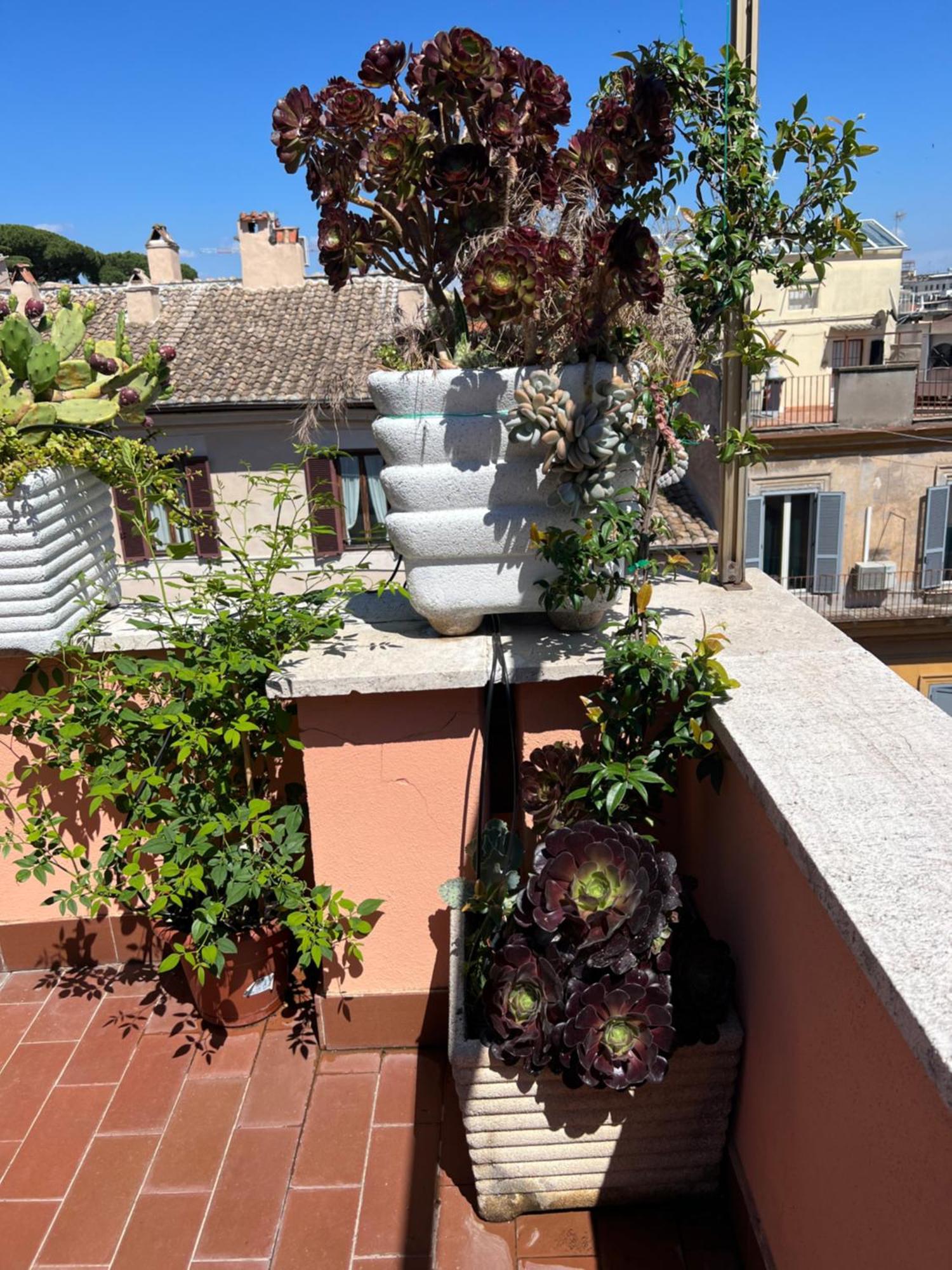 Spanish Steps Rome View 外观 照片