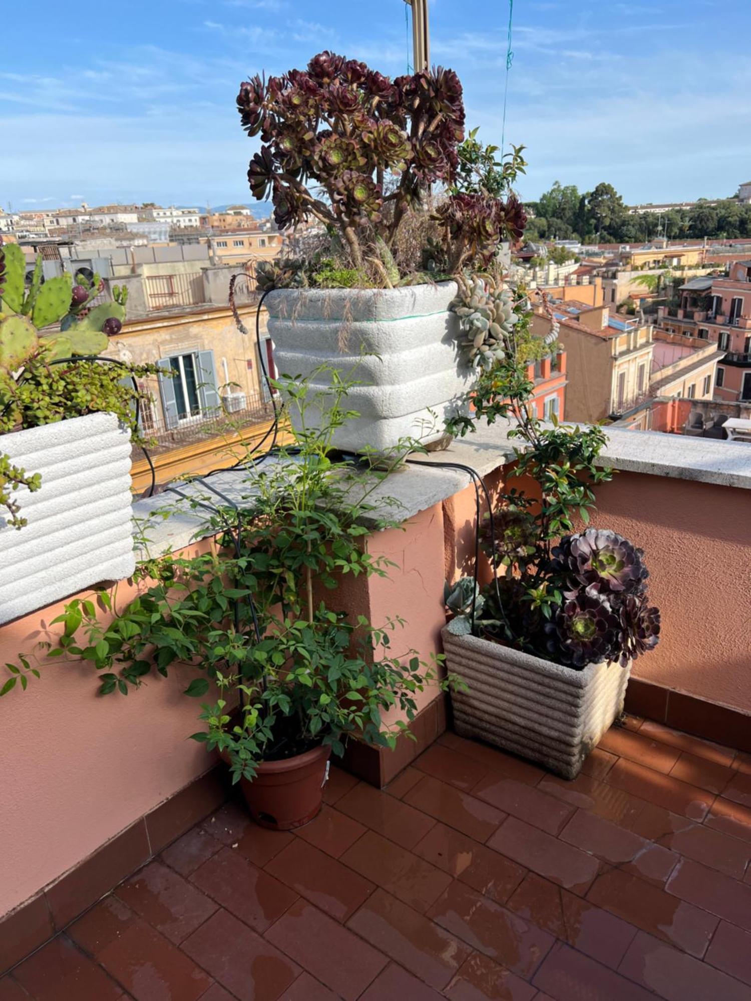 Spanish Steps Rome View 外观 照片
